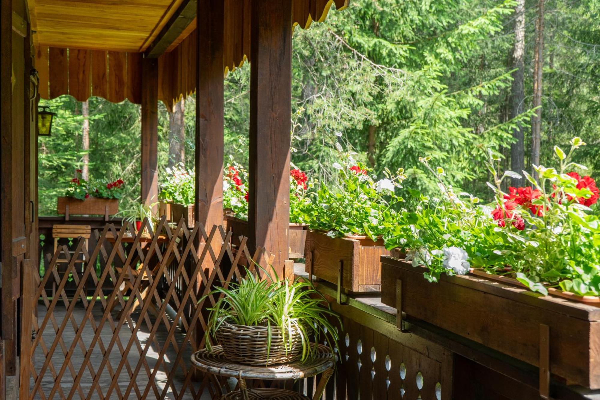 B&B Villa La Bercia ซาน วิจลิโอ ดิ มาเรบเบ ภายนอก รูปภาพ